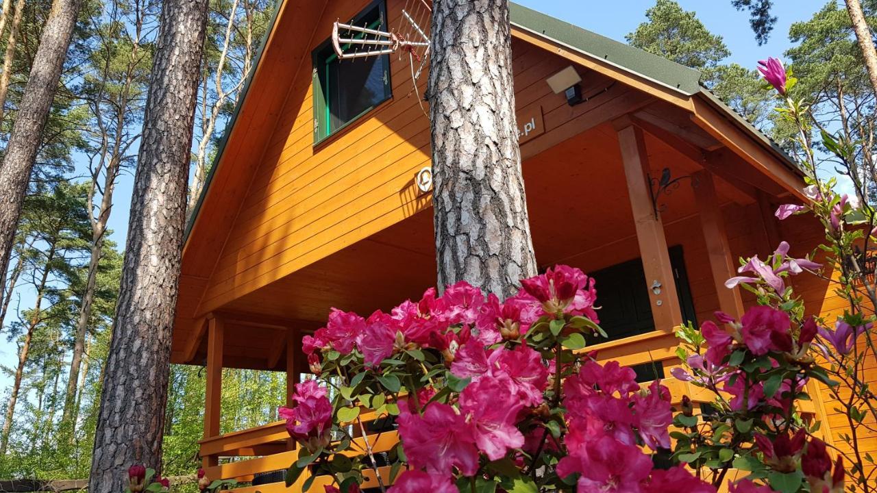 Holiday home Domkiwturawie Pl
